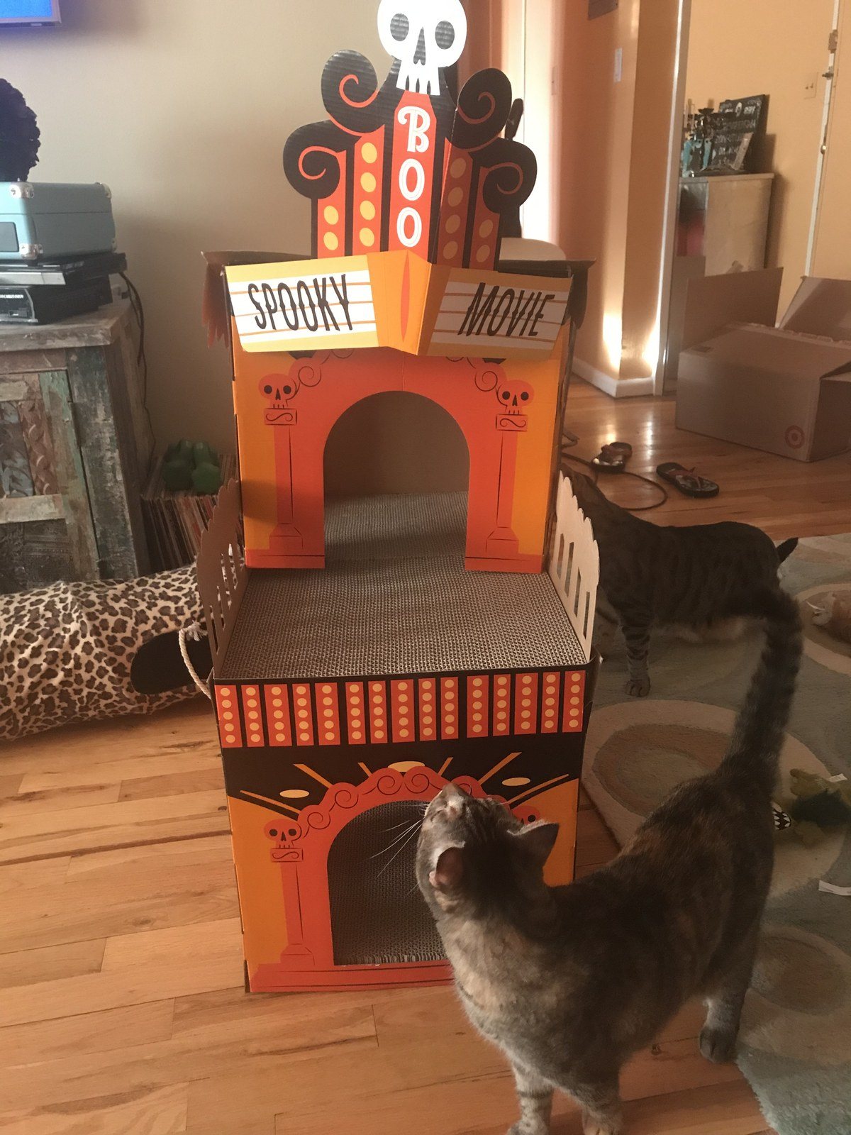 What's Playing?