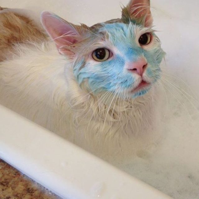 Spa Day With A Blueberry FacIal.