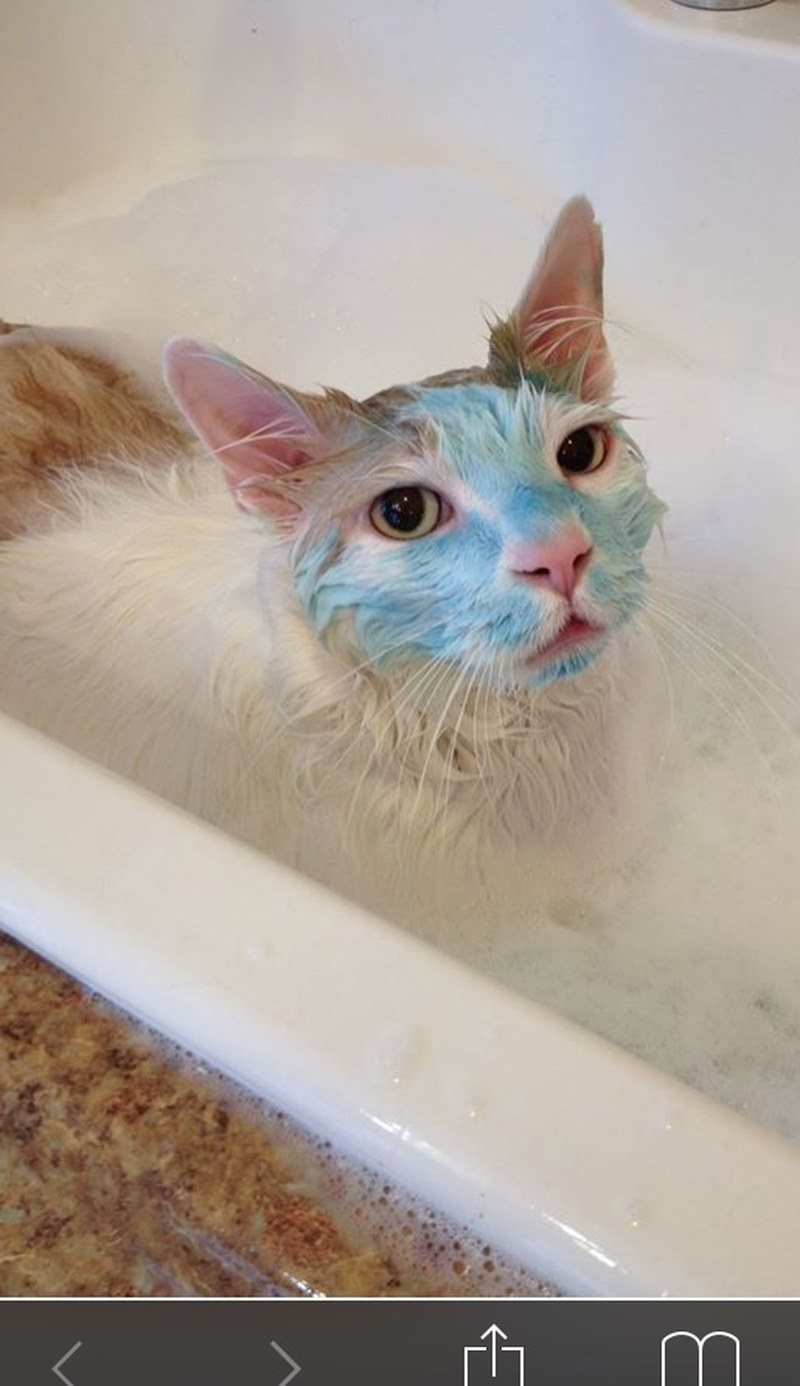 Spa Day With A Blueberry FacIal.