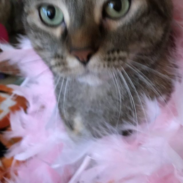 Pretty In Pink