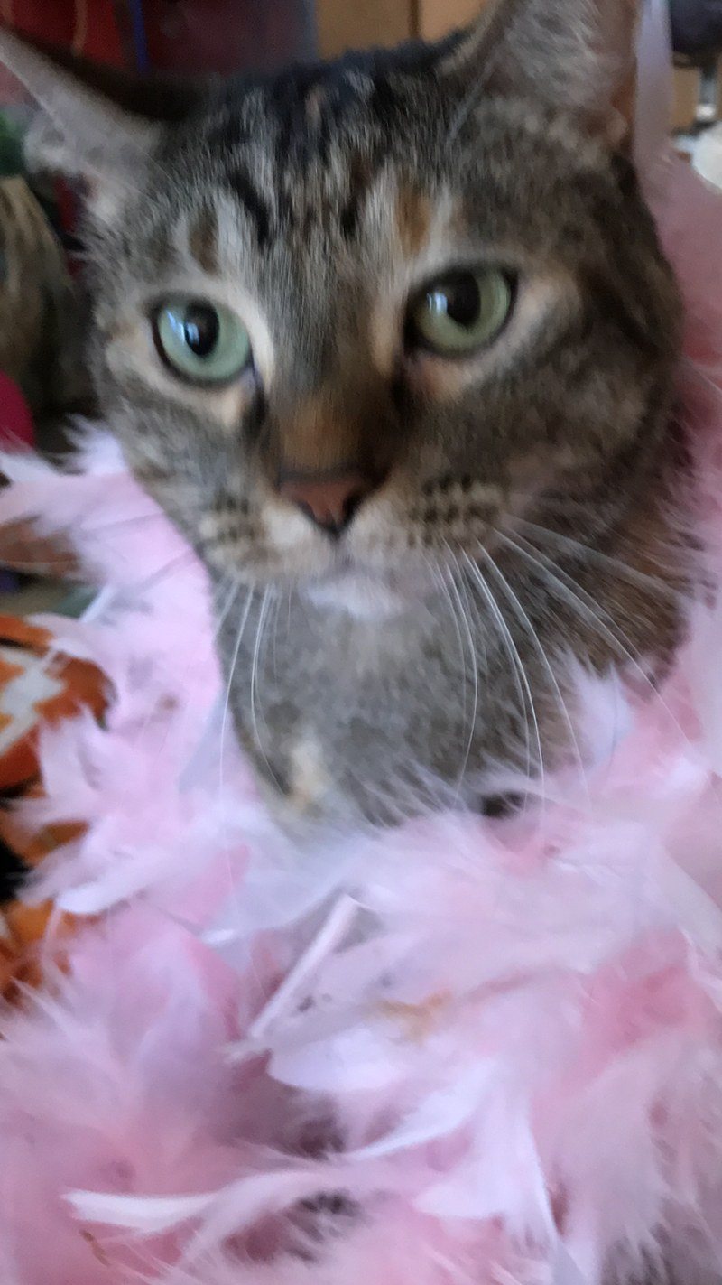 Pretty In Pink