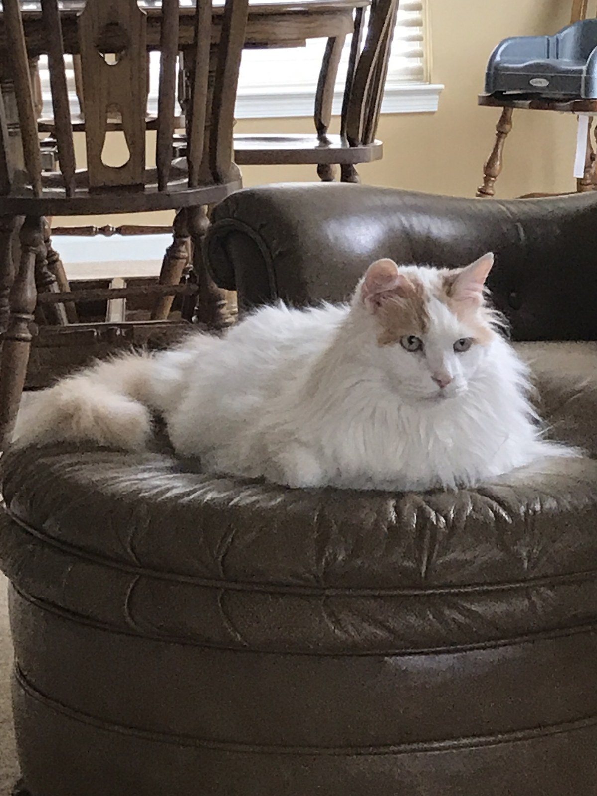 ...finally A Relaxing Day!