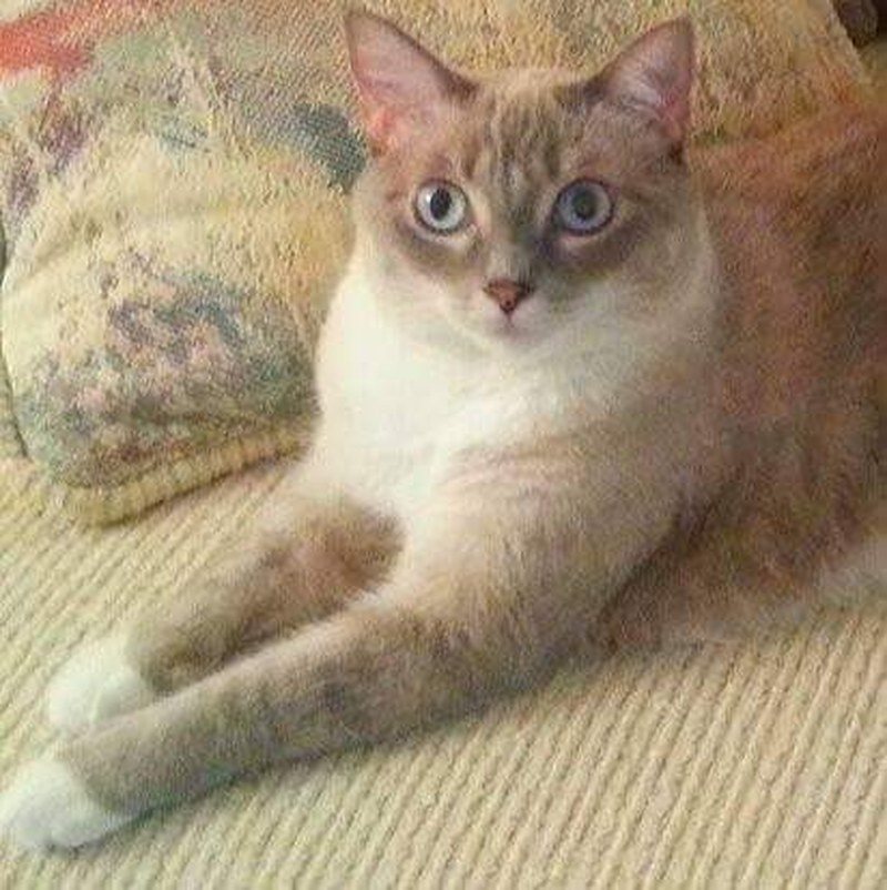 Posing For Mommy