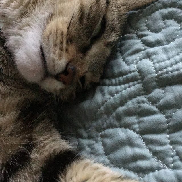 5 More Minutes