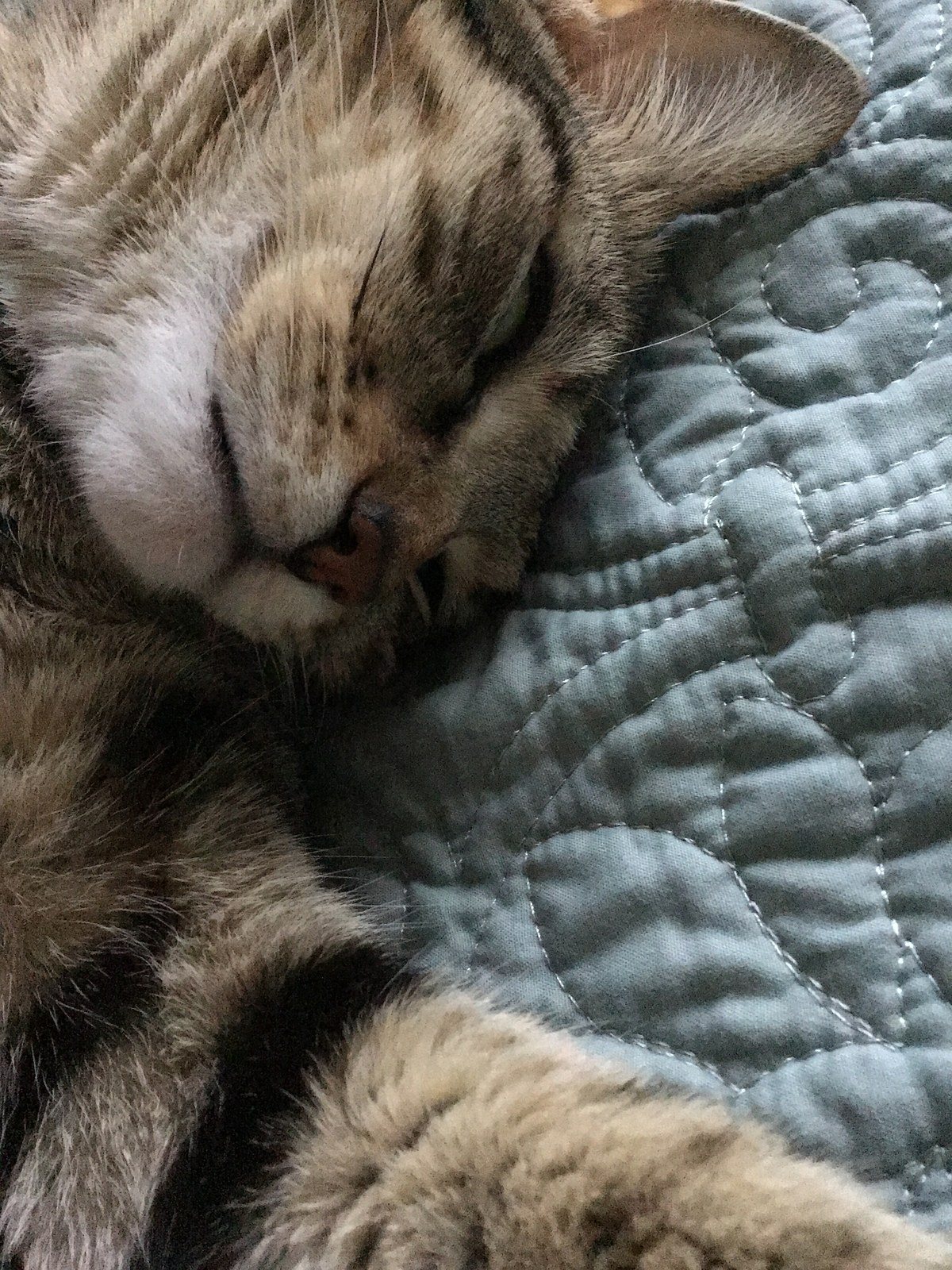 5 More Minutes