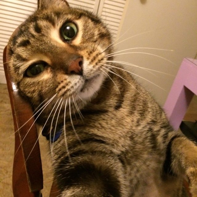 My Sweet Boy
