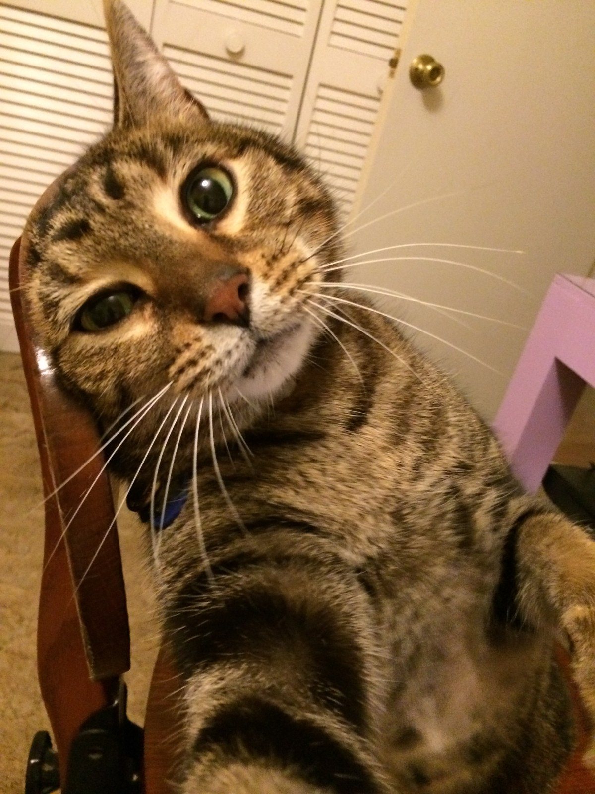 My Sweet Boy
