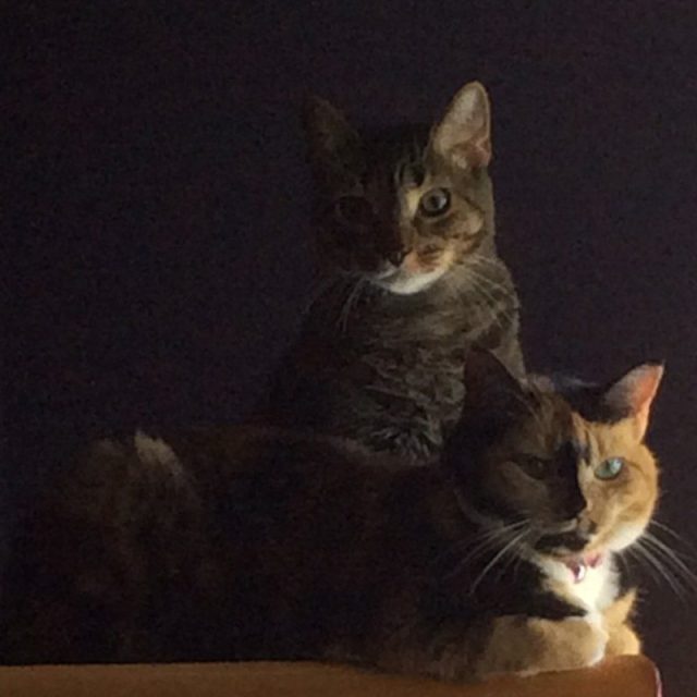Best Friends