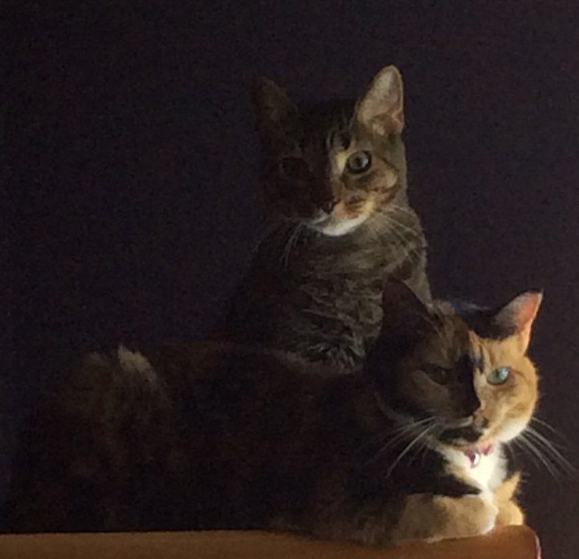 Best Friends