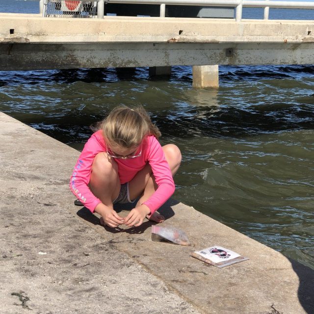 Baiting My Hook For The Big Catch