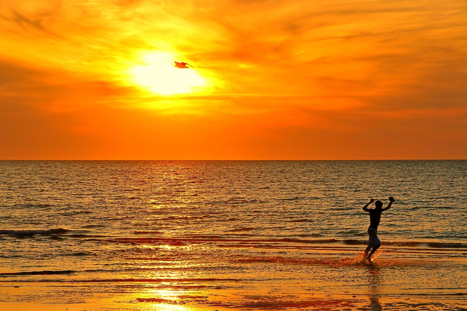 Beach Run