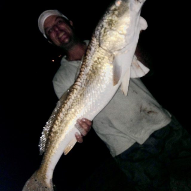 Bigger Than The State Record