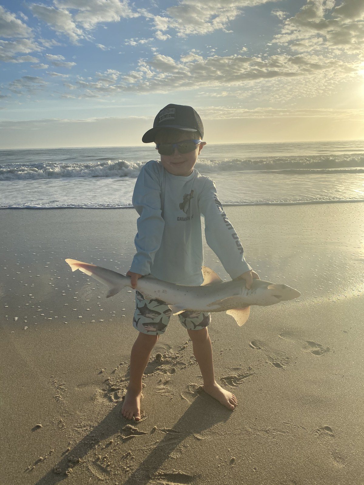 Bonnethead