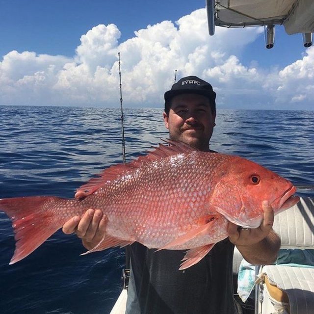 Red Snapper Mini Season