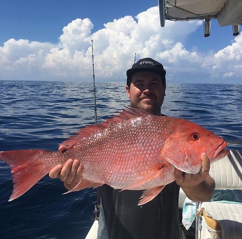 Red Snapper Mini Season