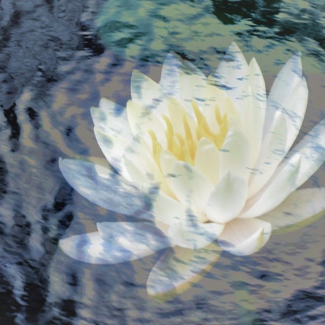 Aqua Echo
