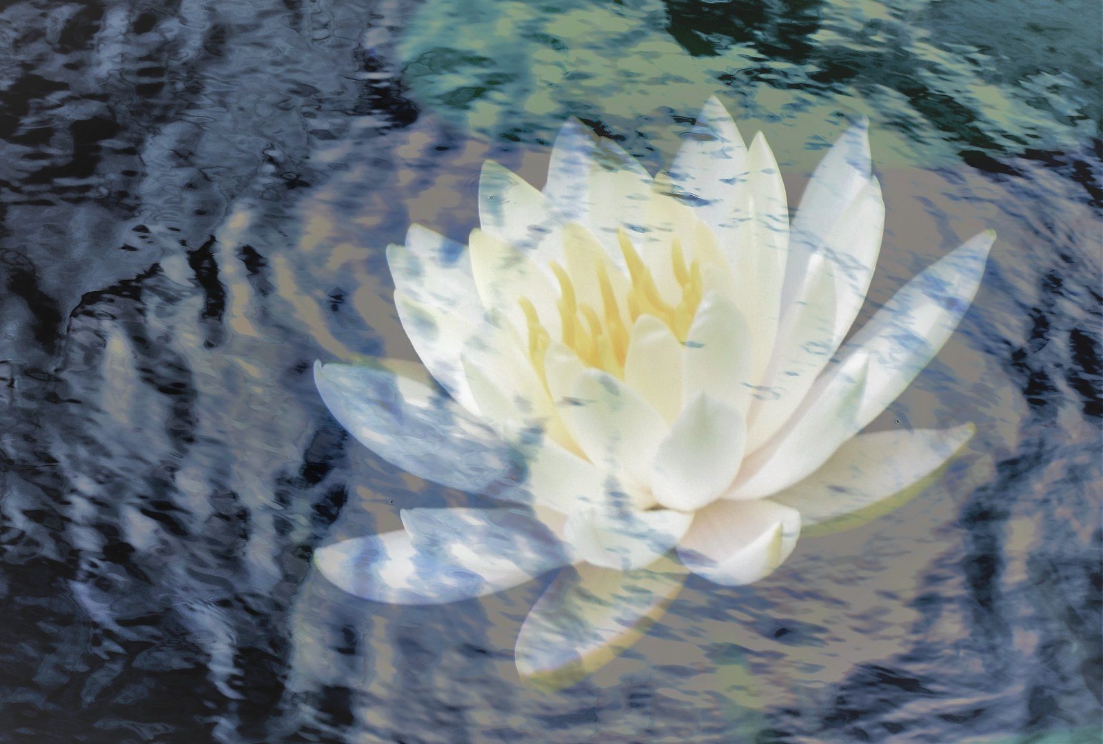 Aqua Echo