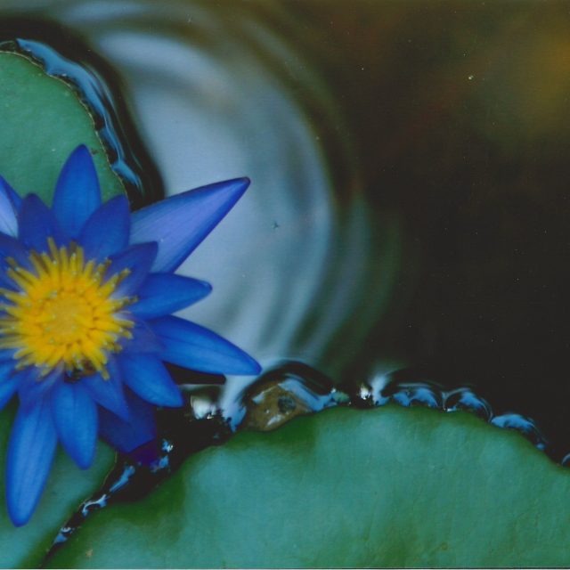 Rippling Water