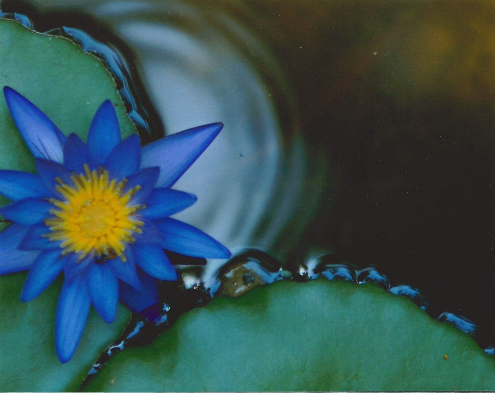 Rippling Water