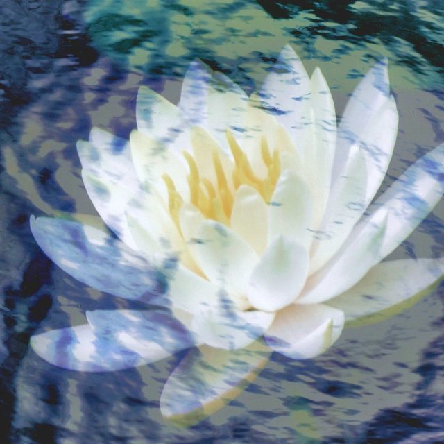 Dreaming On Monet