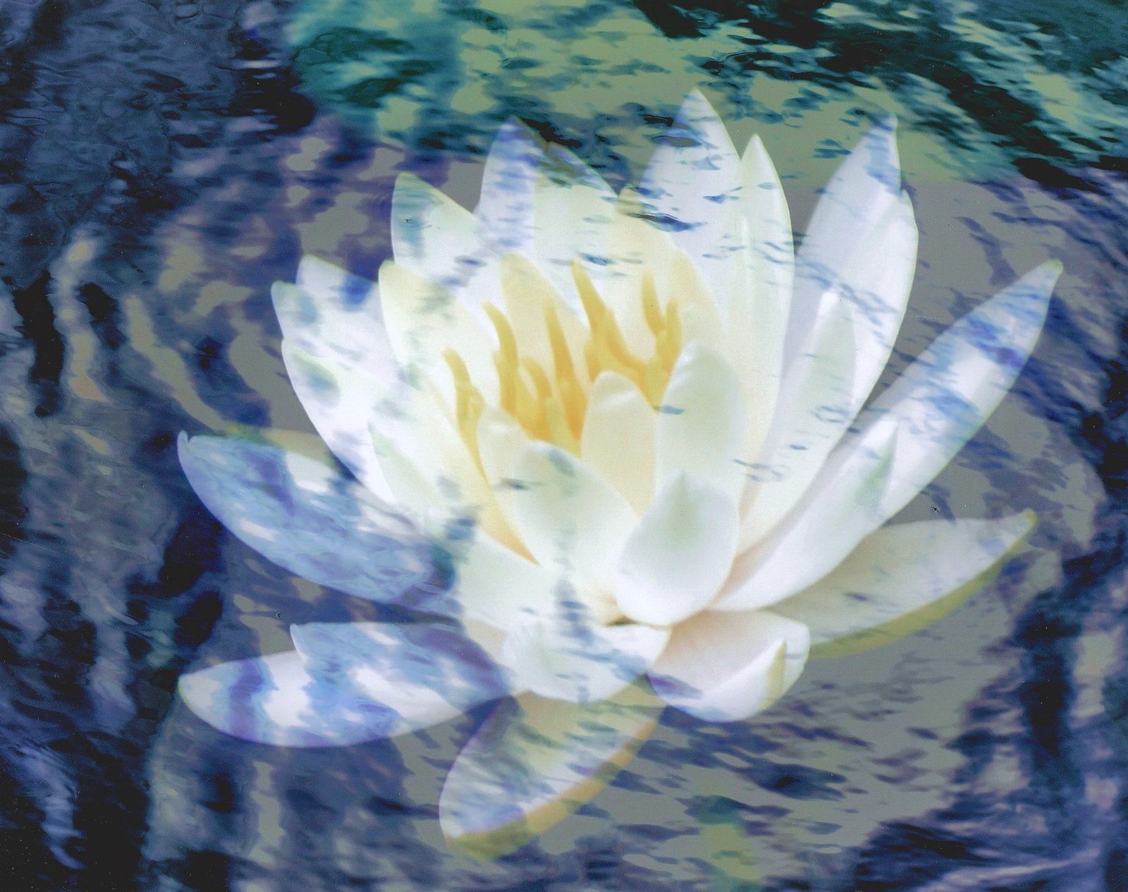 Dreaming On Monet