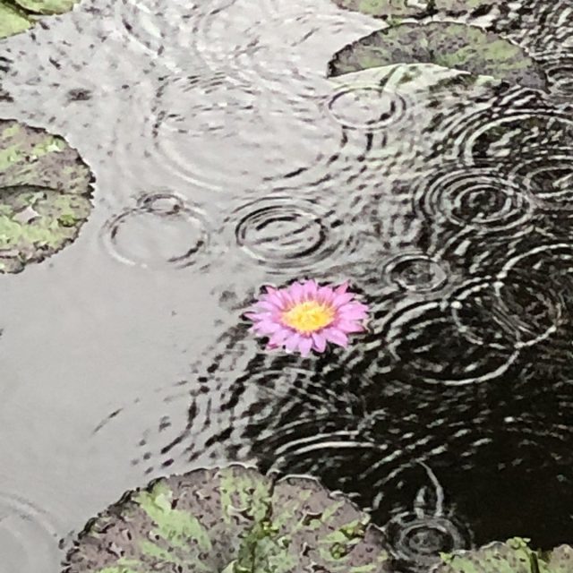 In A Sea If Water