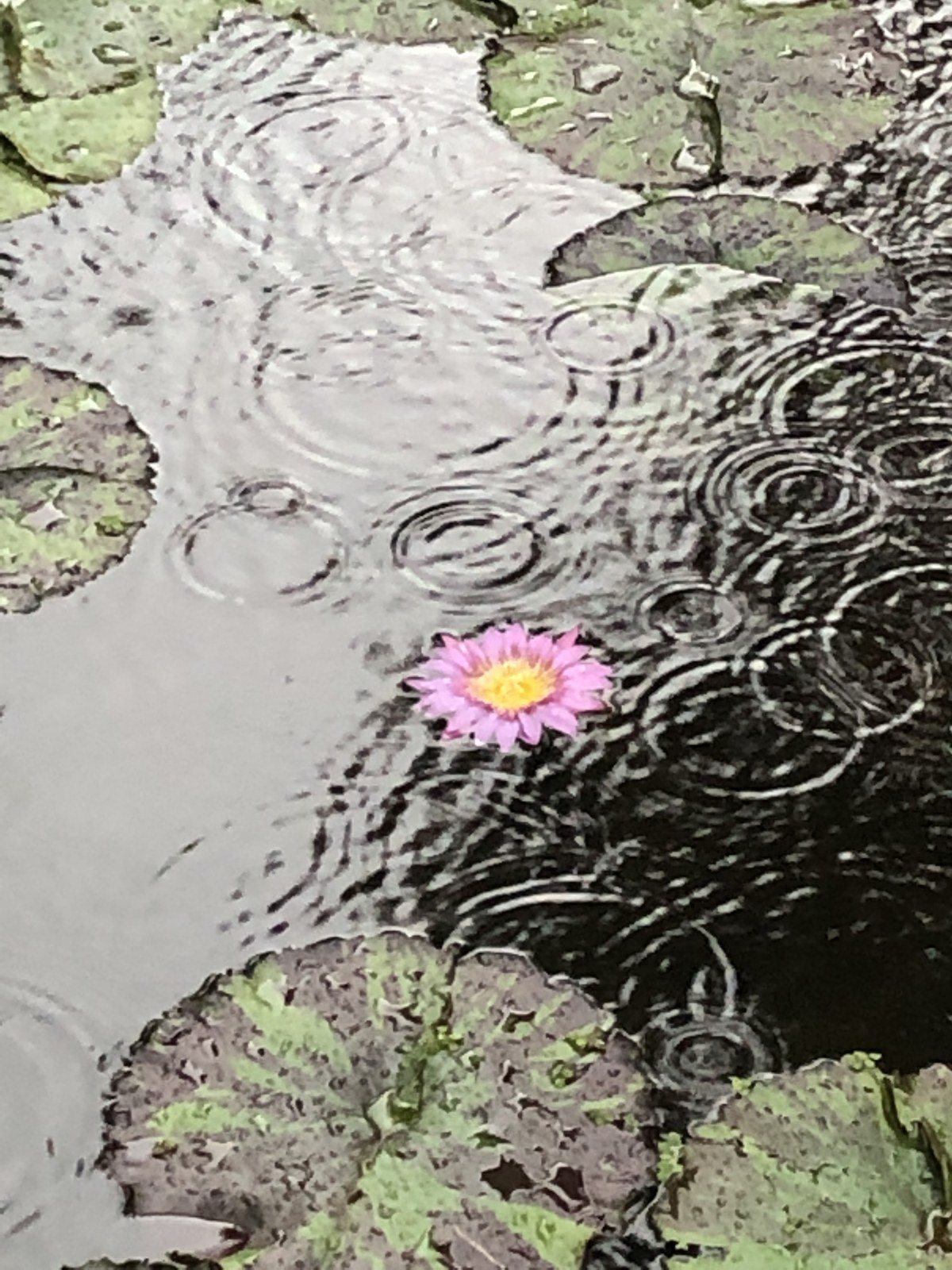 In A Sea If Water