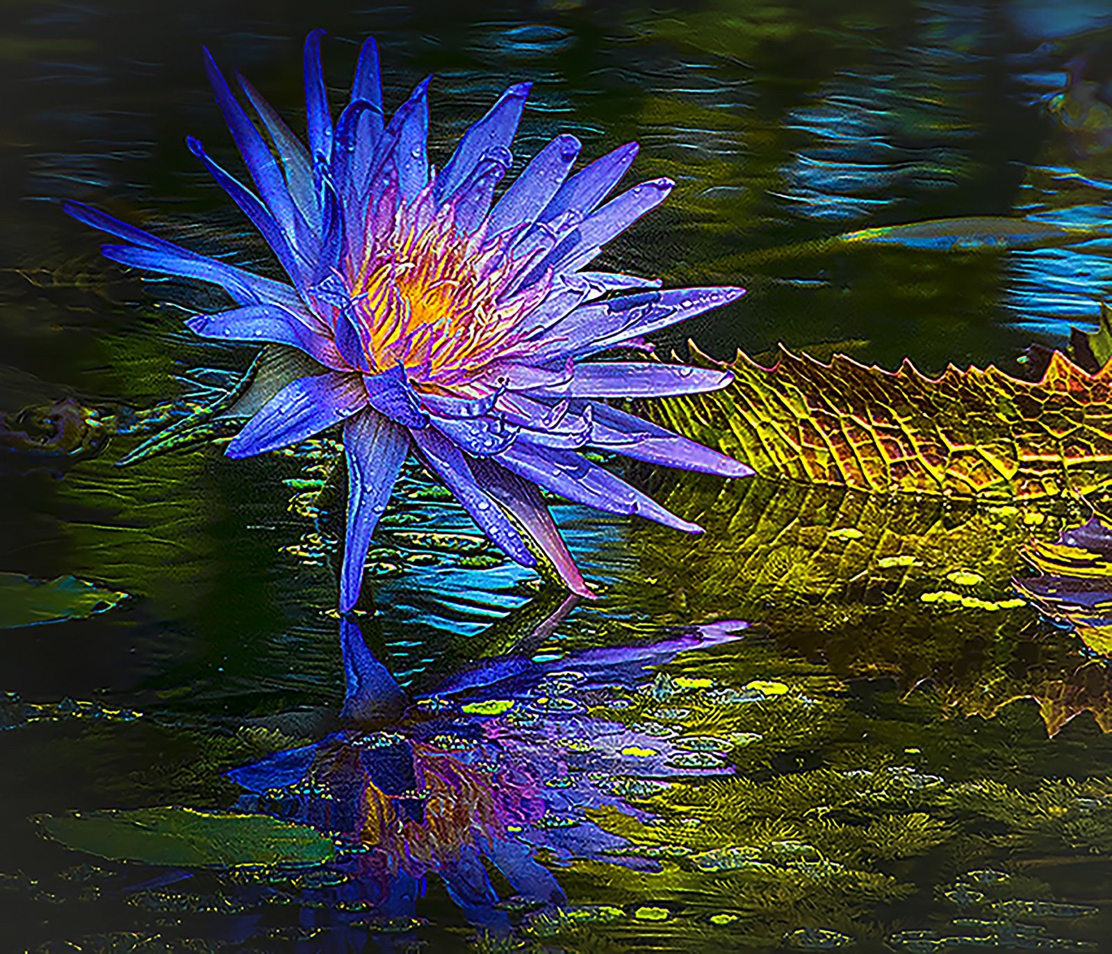 Blue Lily