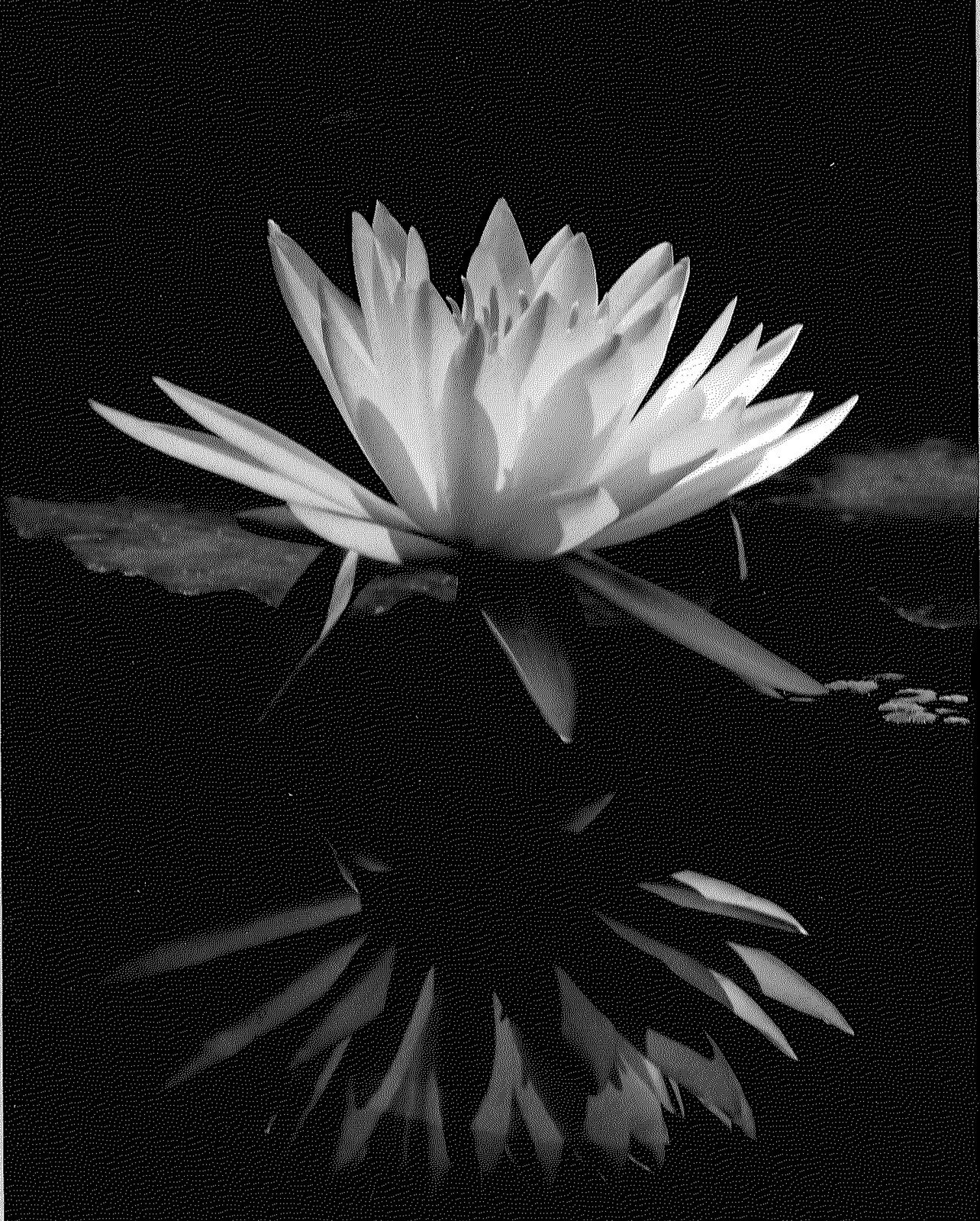 Awakening