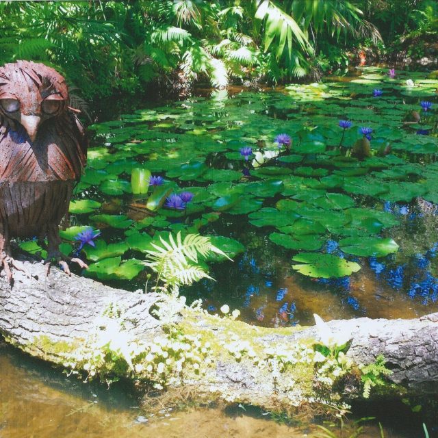 Blooming Pond Perch
