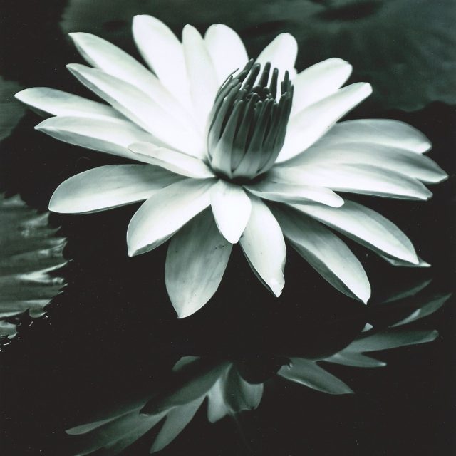 Soft Reflections