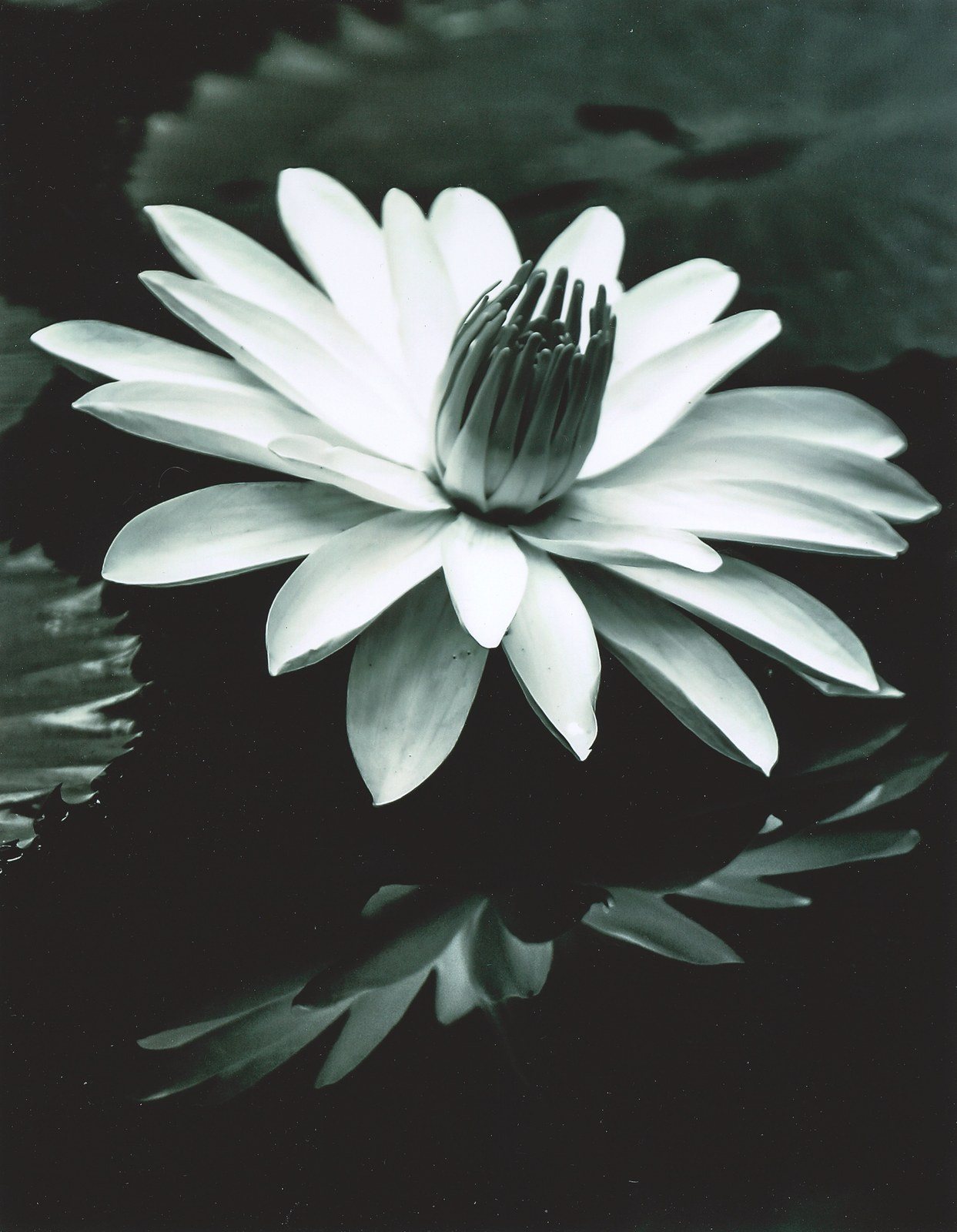 Soft Reflections