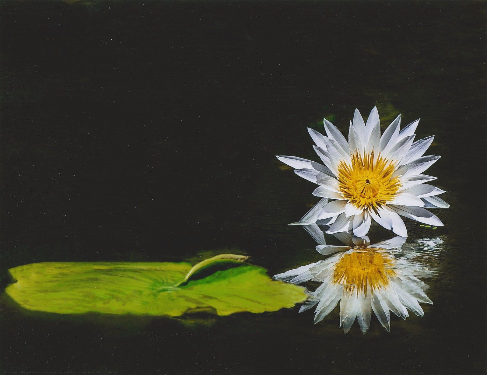 Reflection