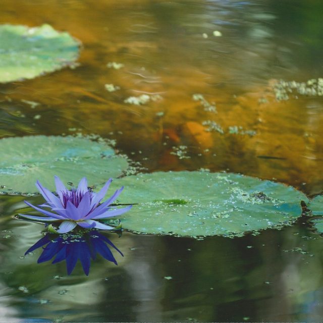 As Above, So Below