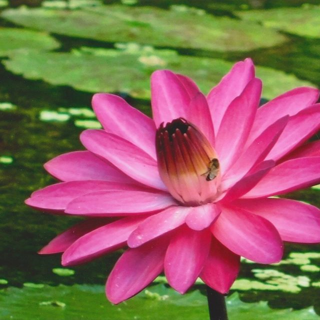 Cindy's photo