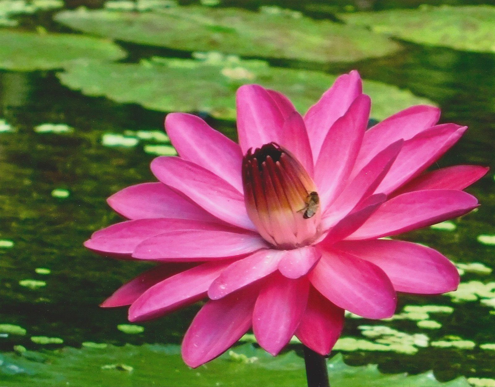 Cindy's photo