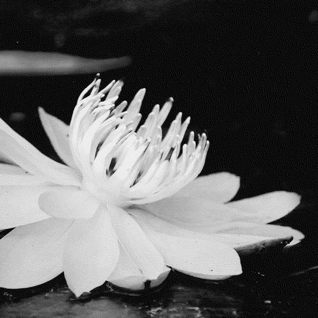 Reaching