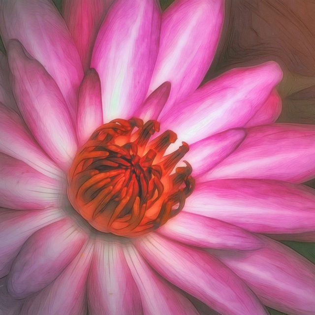 Pink Kiss