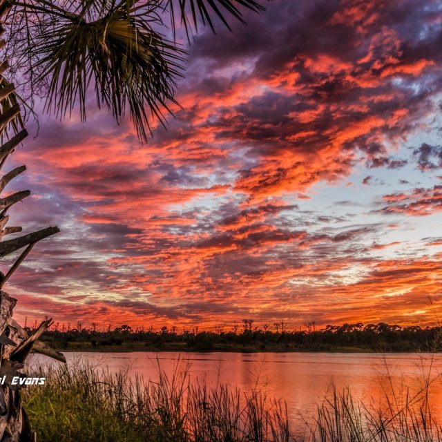 Treasure Coast Skies
