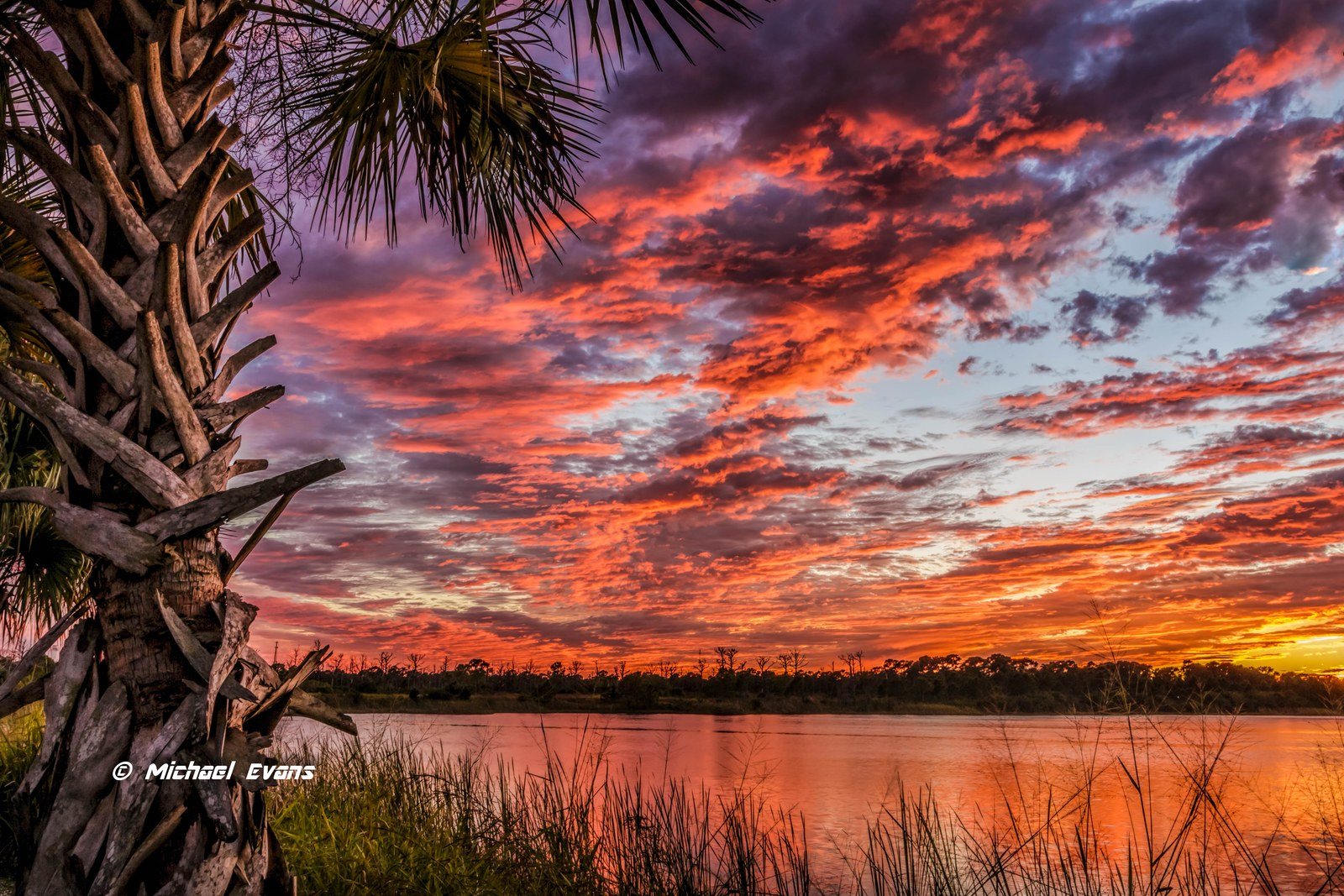 Treasure Coast Skies