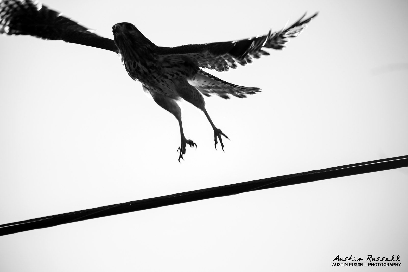 Escape