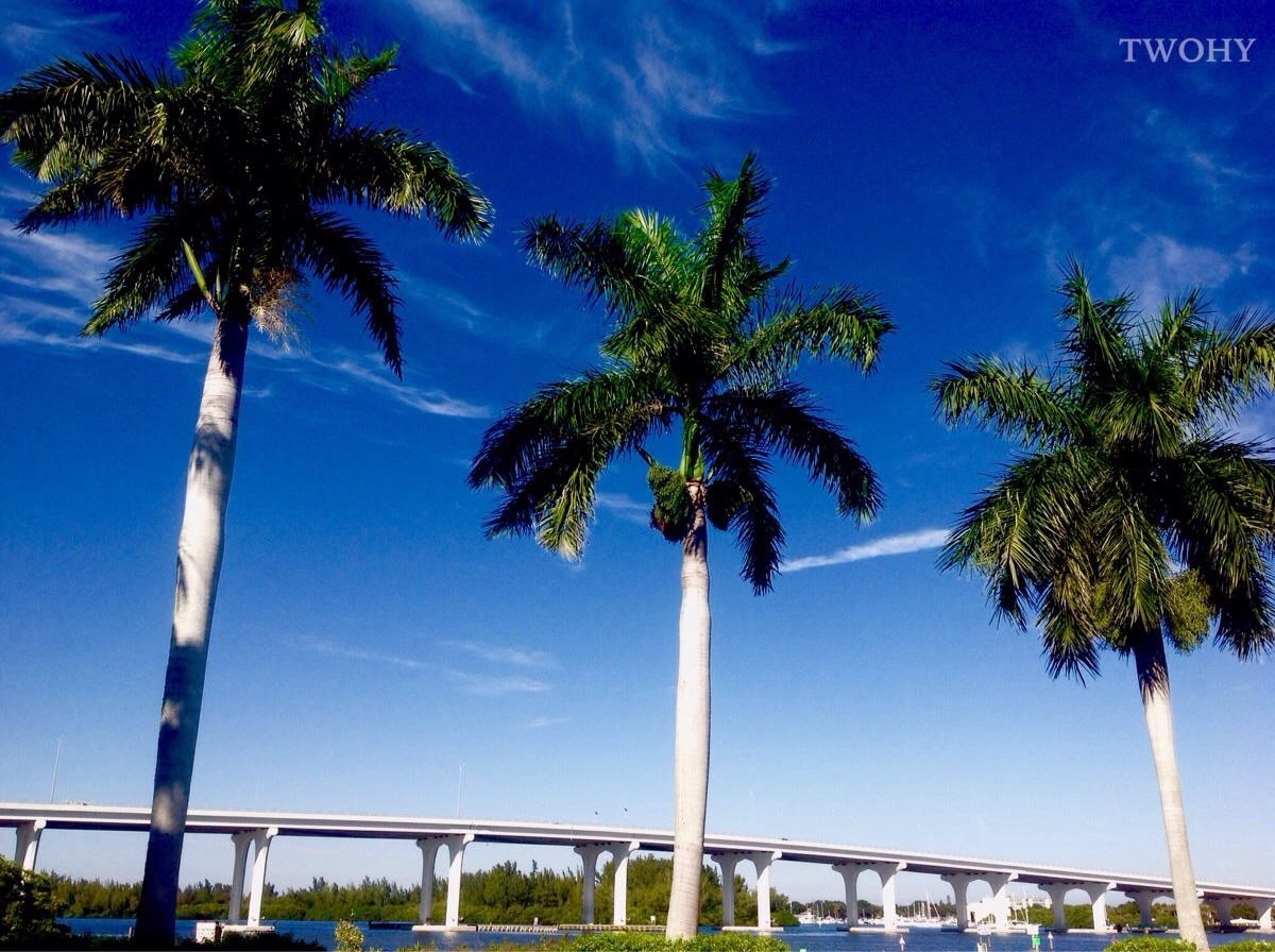 Vividly Fall In Vero