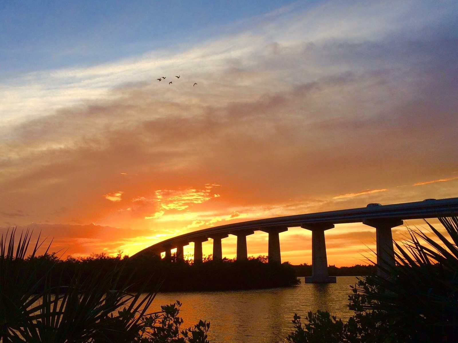 Bridge To Paradise