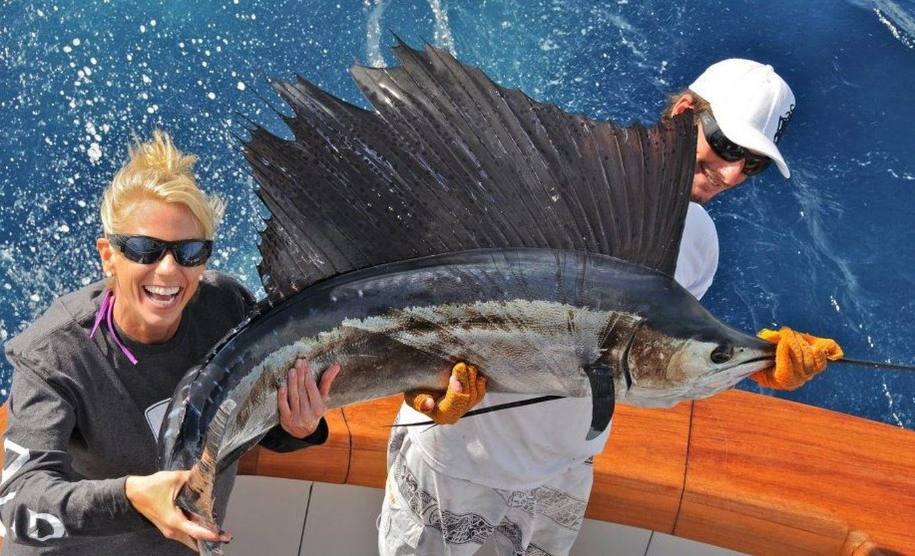My Sailfish! (Sailfish Released Just North Of Jupiter Inlet)