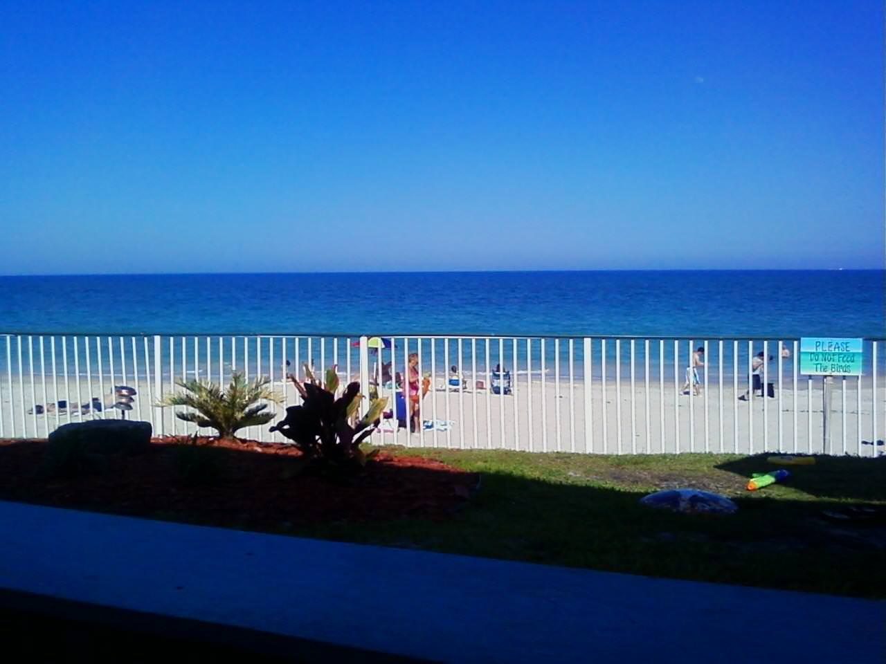 Vero Beach's Unedited Natural Beauty