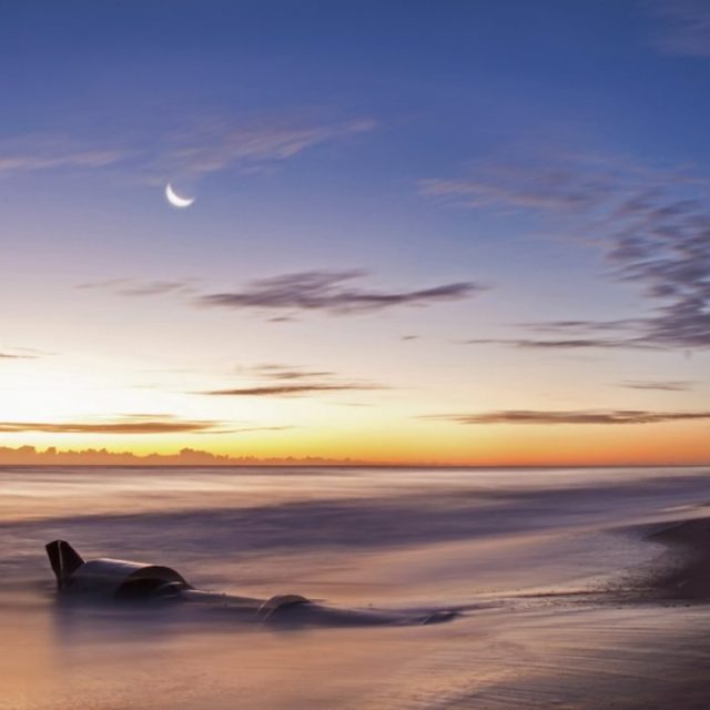 Predawn At Sexton Plaza Beach