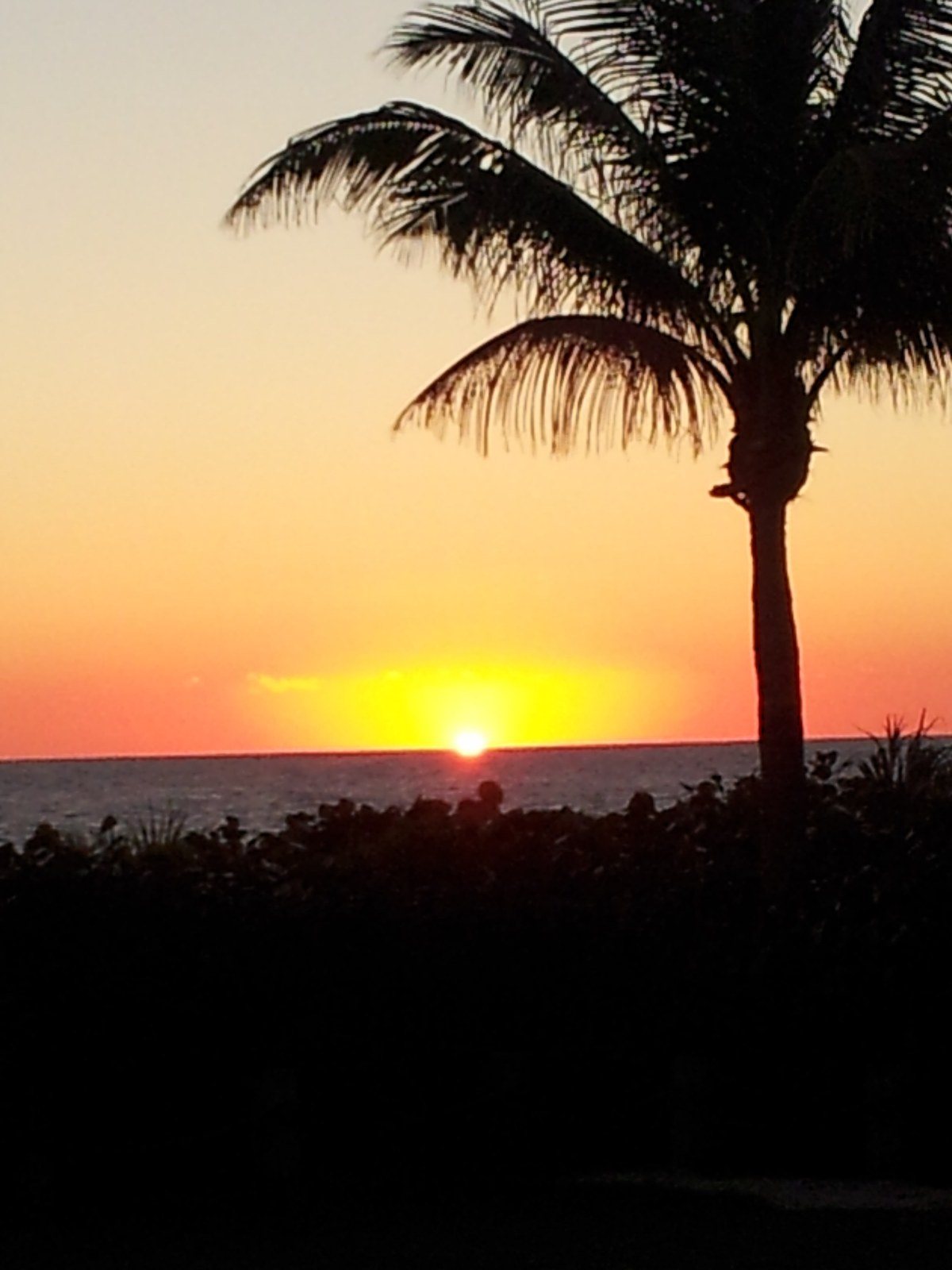 Sunrise, Disney's Vero Beach