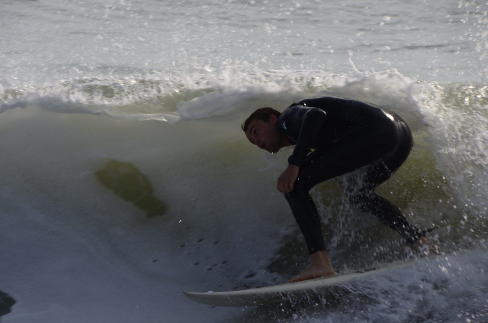 Surf's Up