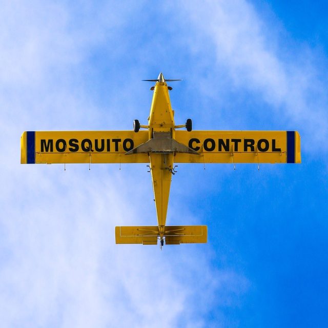 Control