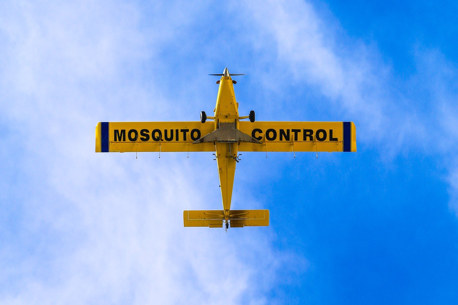Control